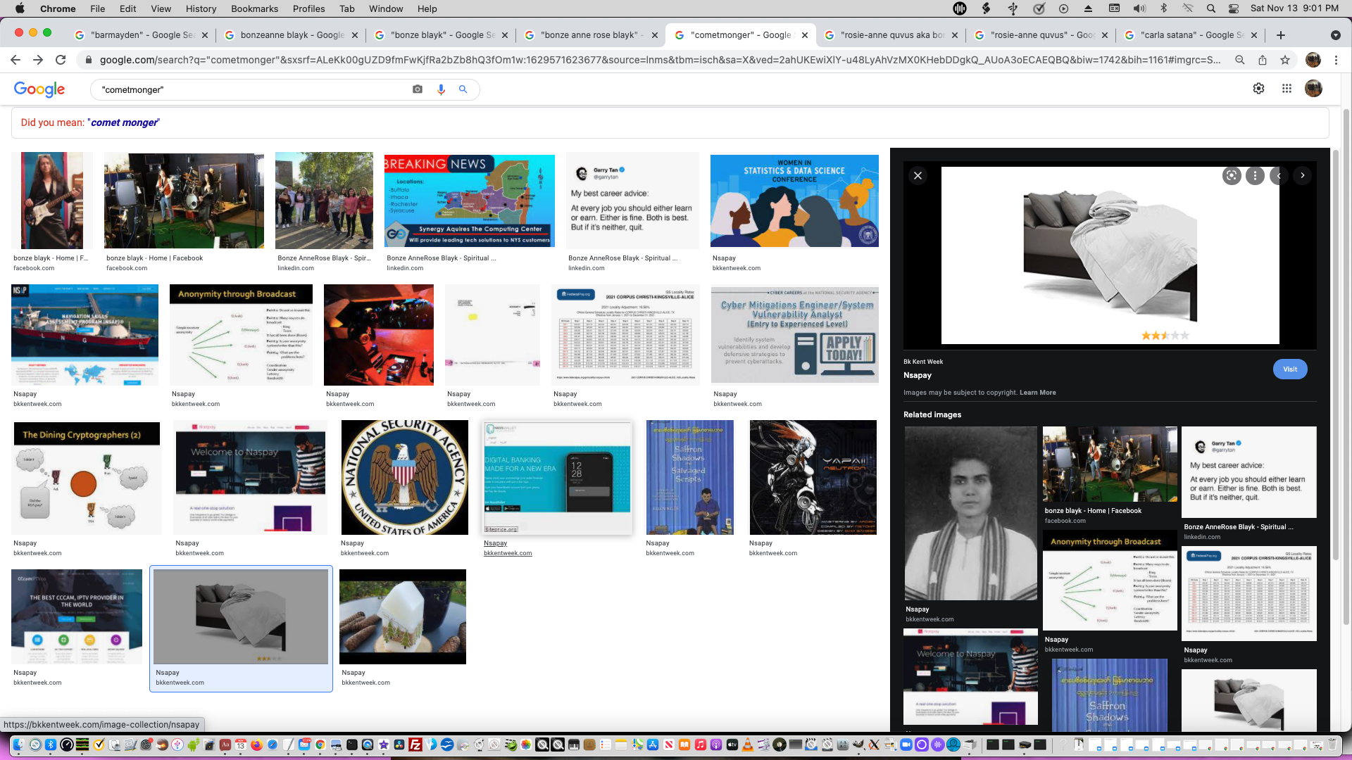 ./2021-11-25 - ADVERTISED on BADTRIPRECORDS.BIZ - nsapay-basics.png